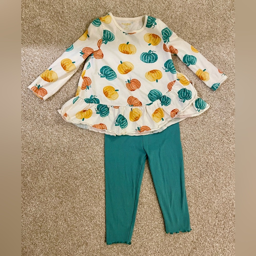 Burt’s Bees Baby pumpkin tunic and leggings set, size 24M